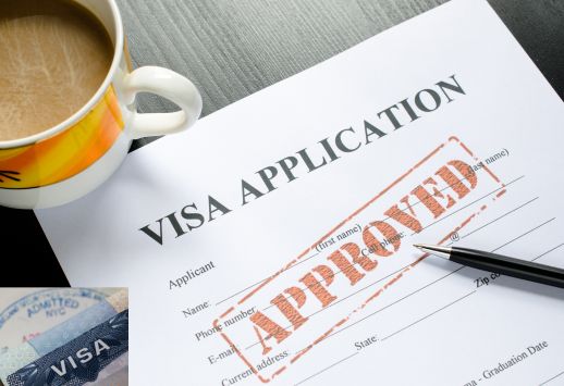 Visa Processing Services